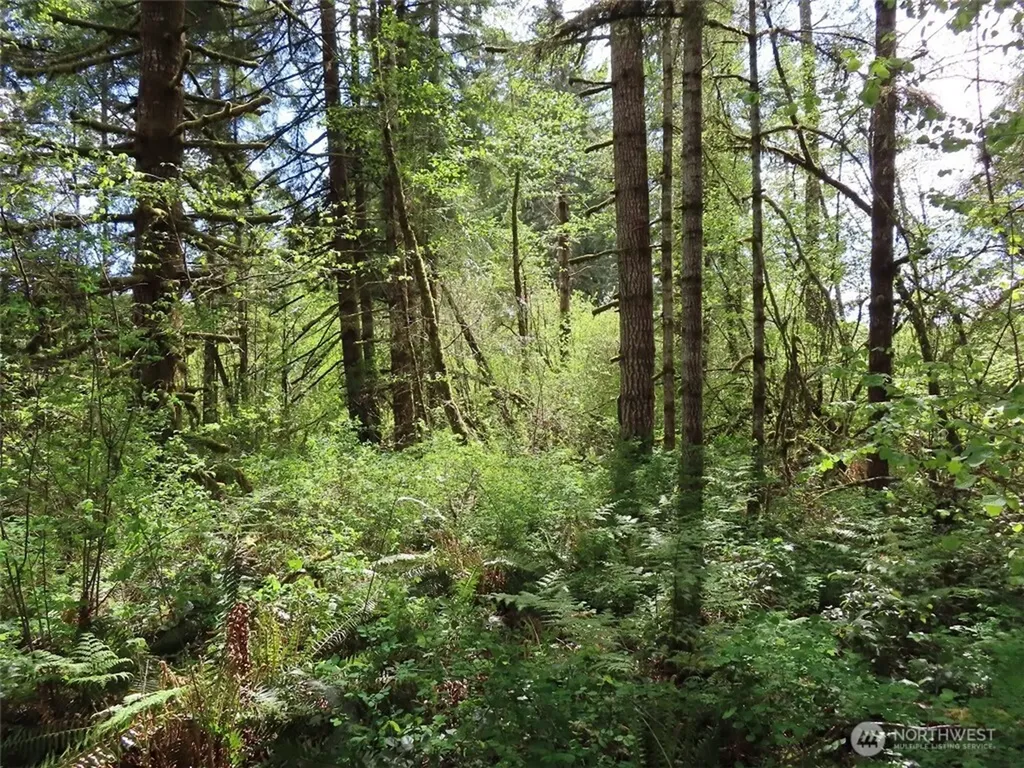 3898 State Route 6 Chehalis WA 98532