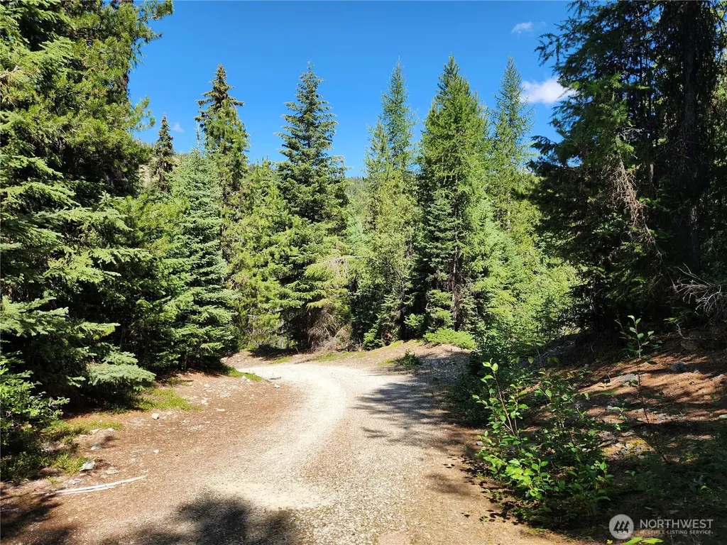 0 East Fork Cougar Creek Road Wauconda WA 98859