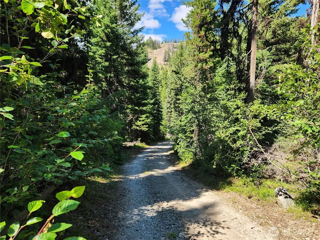 0 East Fork Cougar Creek Road Wauconda WA 98859