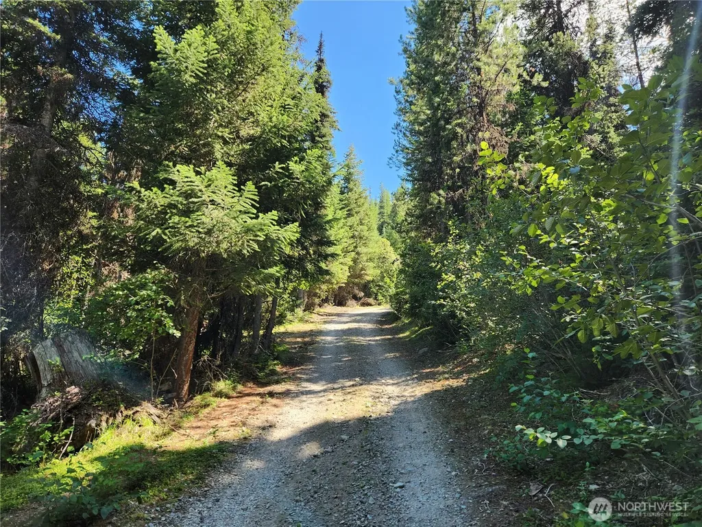 0 East Fork Cougar Creek Road Wauconda WA 98859