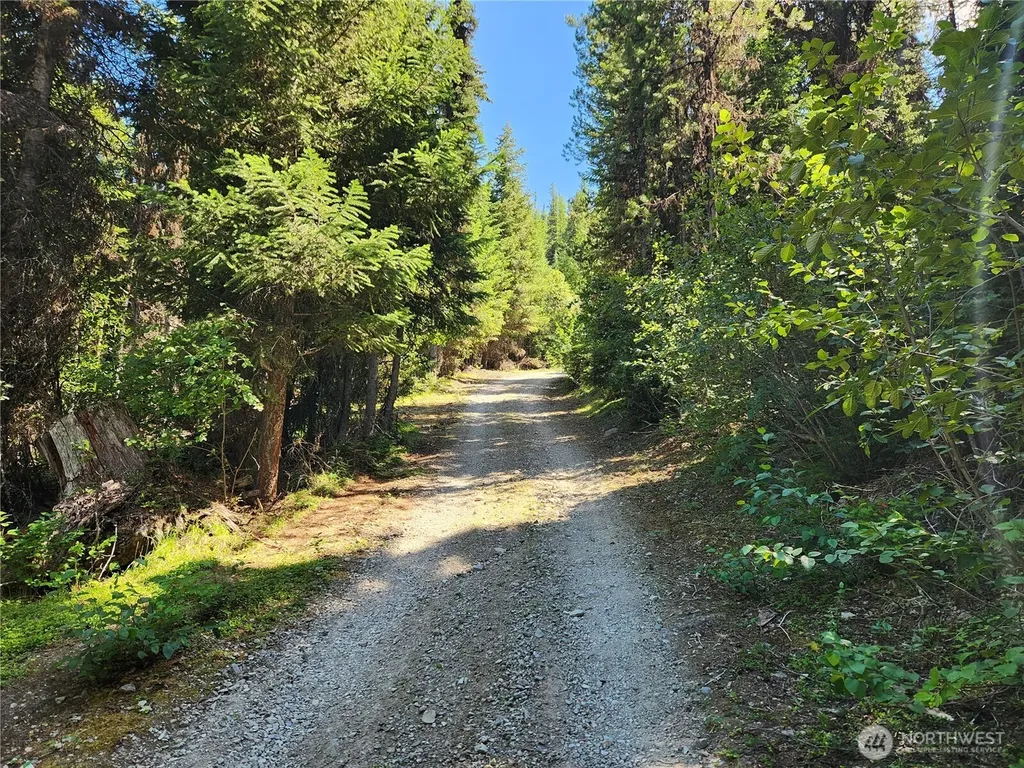 0 East Fork Cougar Creek Road Wauconda WA 98859
