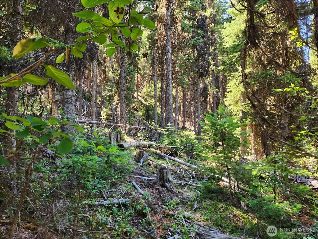 0 East Fork Cougar Creek Road Wauconda WA 98859