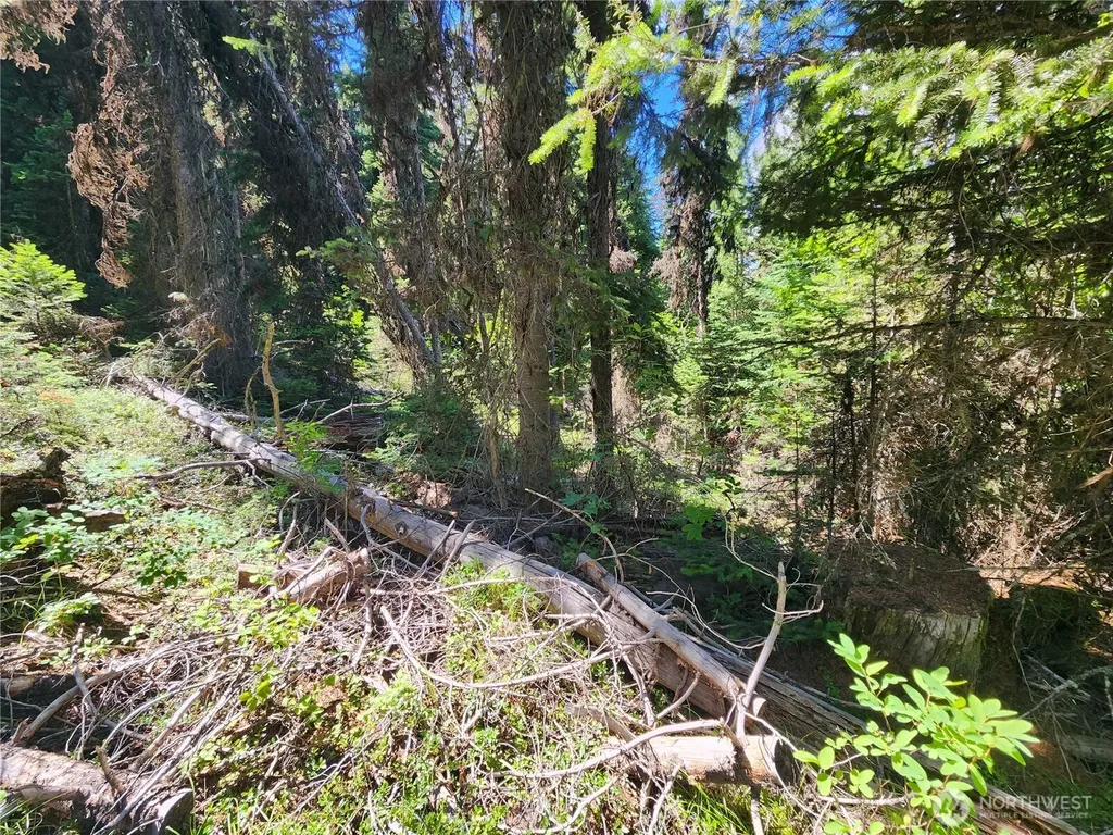 0 East Fork Cougar Creek Road Wauconda WA 98859