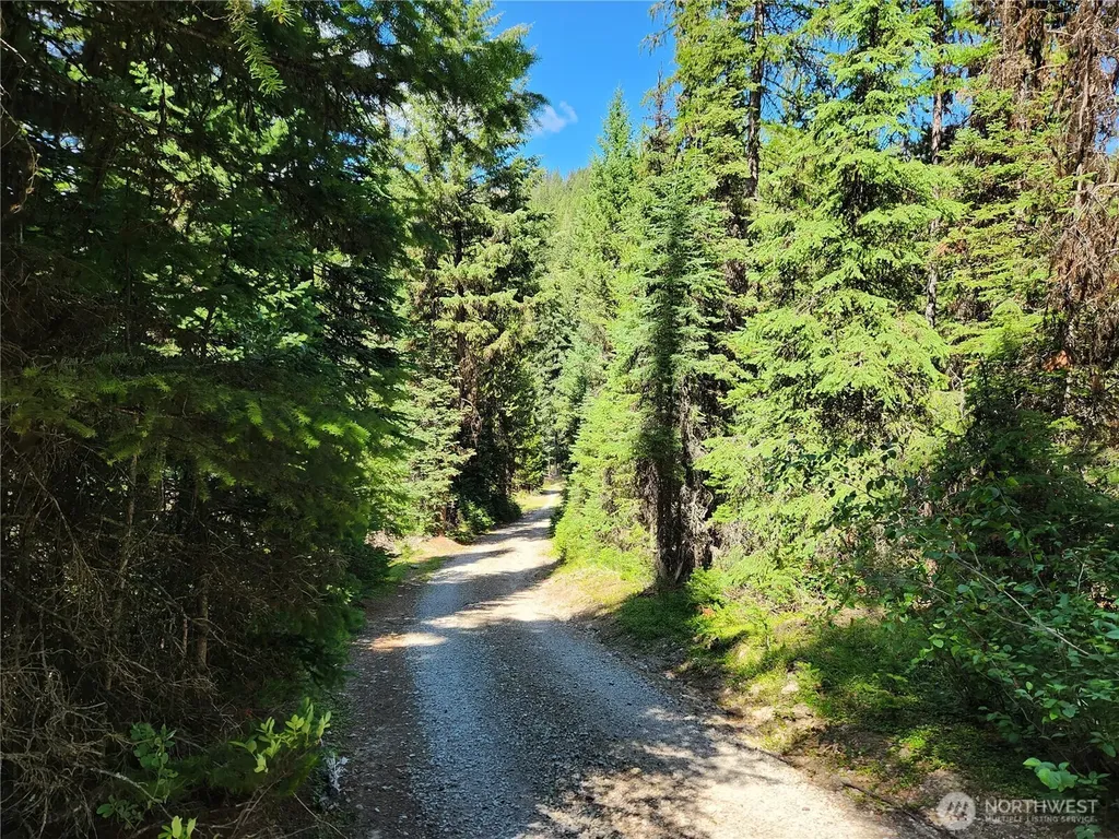 0 East Fork Cougar Creek Road Wauconda WA 98859