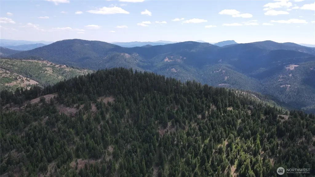 0 East Fork Cougar Creek Road Wauconda WA 98859