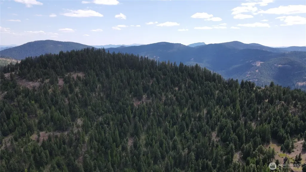 0 East Fork Cougar Creek Road Wauconda WA 98859