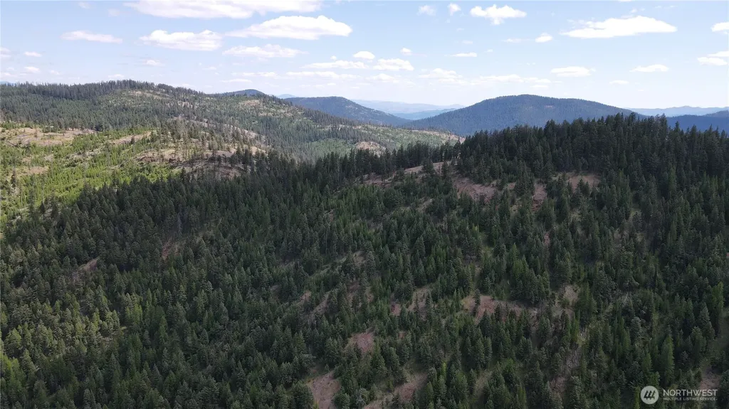 0 East Fork Cougar Creek Road Wauconda WA 98859