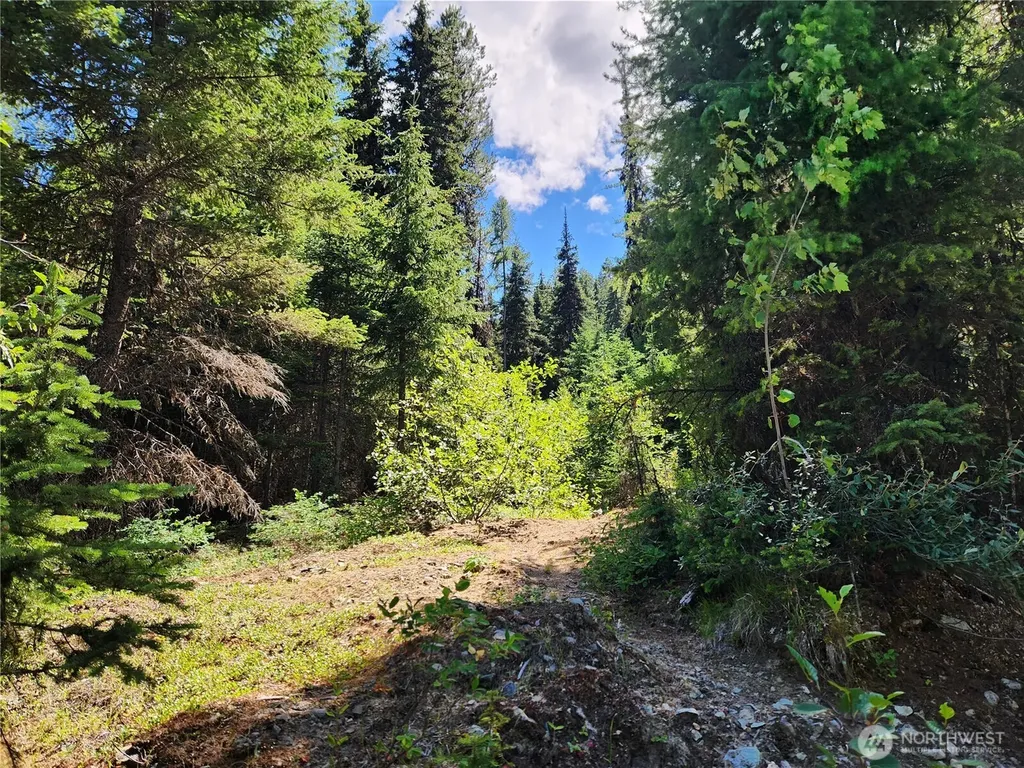 0 East Fork Cougar Creek Road Wauconda WA 98859