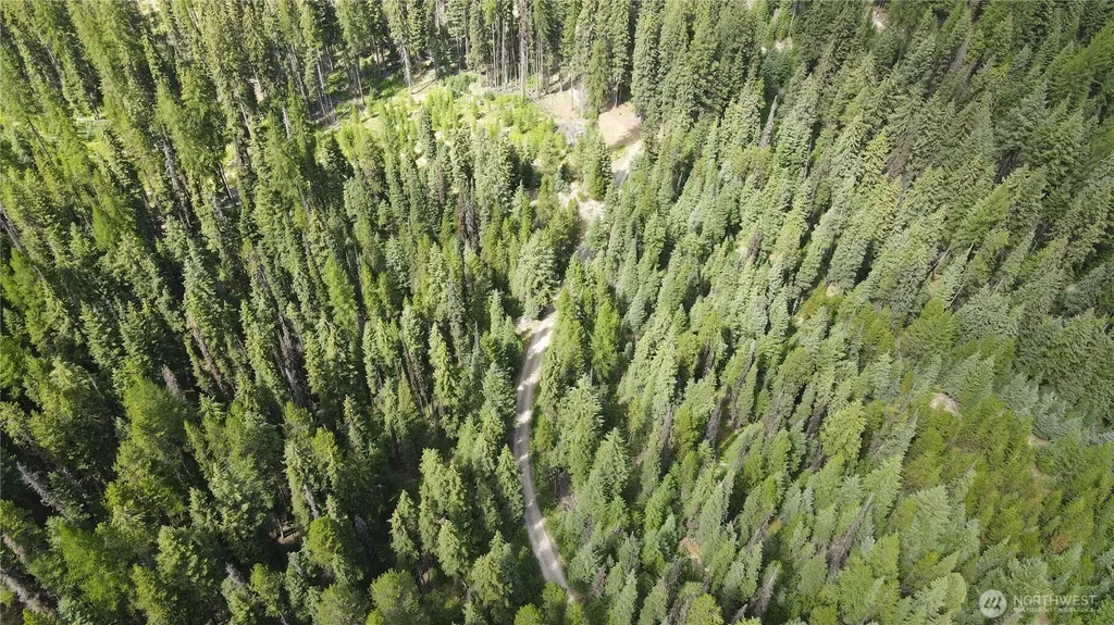 0 East Fork Cougar Creek Road Wauconda WA 98859