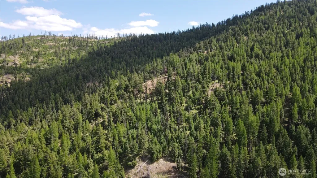 0 East Fork Cougar Creek Road Wauconda WA 98859