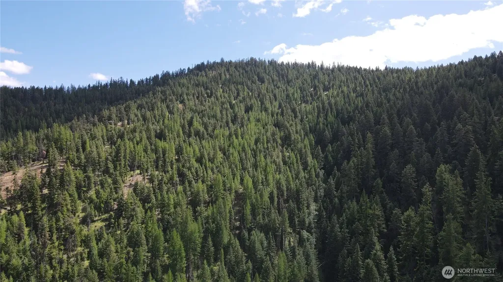 0 East Fork Cougar Creek Road Wauconda WA 98859