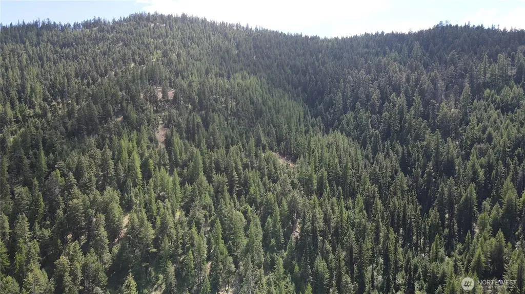 0 East Fork Cougar Creek Road Wauconda WA 98859
