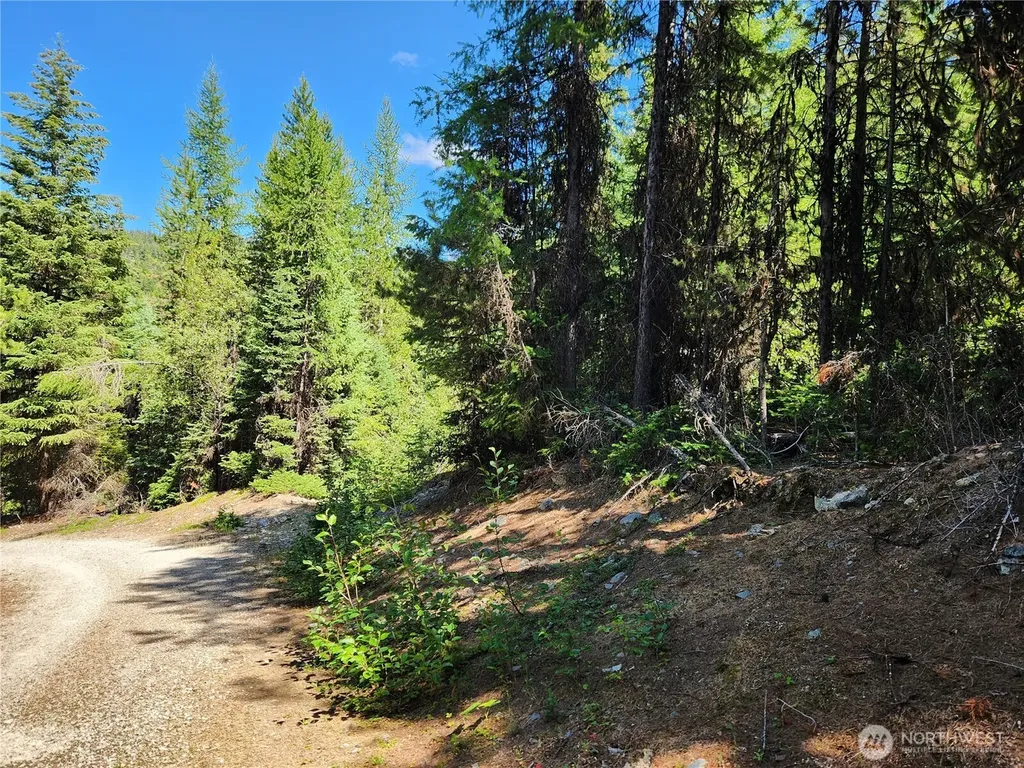 0 East Fork Cougar Creek Road Wauconda WA 98859