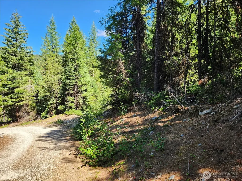 0 East Fork Cougar Creek Road Wauconda WA 98859