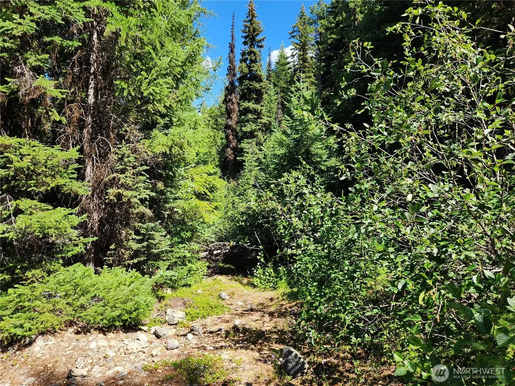 0 East Fork Cougar Creek Road Wauconda WA 98859