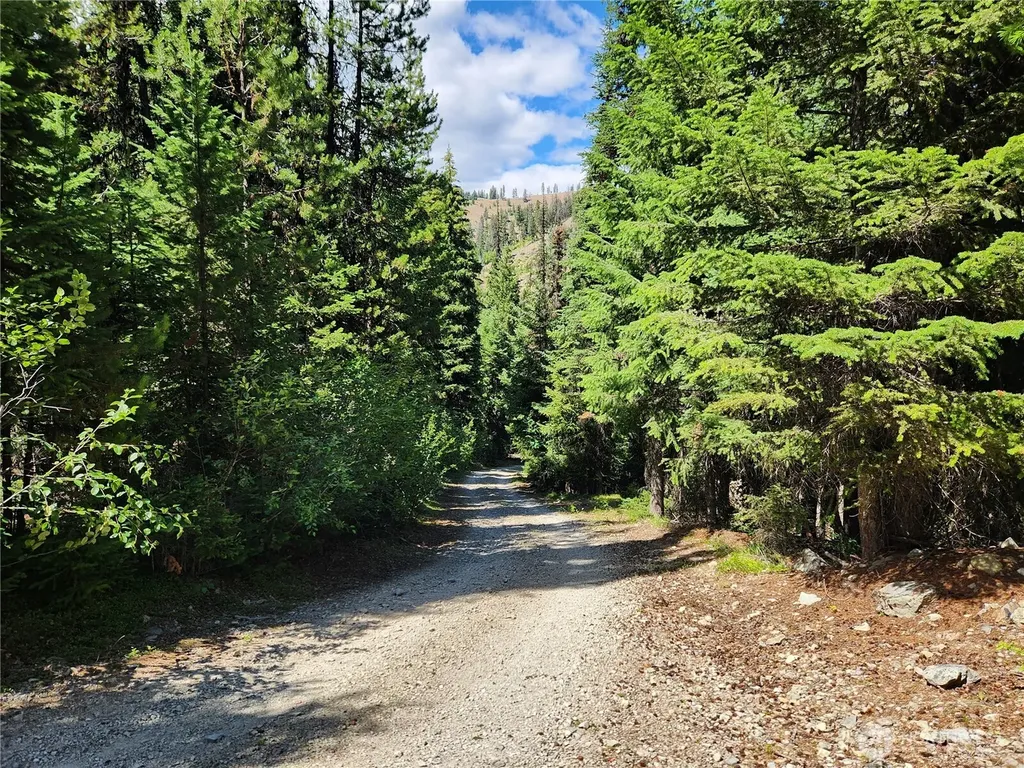 0 East Fork Cougar Creek Road Wauconda WA 98859