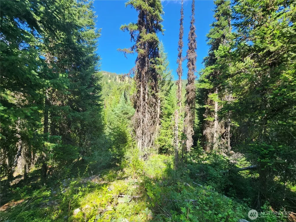 0 East Fork Cougar Creek Road Wauconda WA 98859