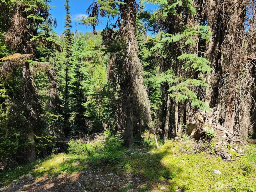 0 East Fork Cougar Creek Road Wauconda WA 98859