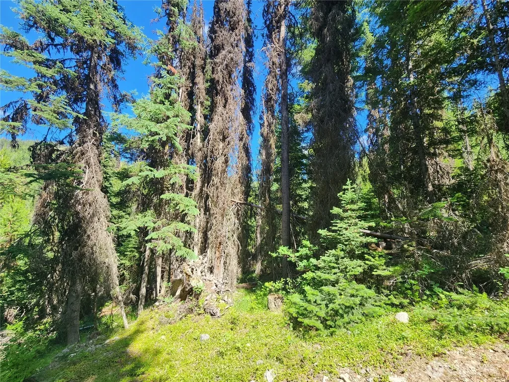 0 East Fork Cougar Creek Road Wauconda WA 98859