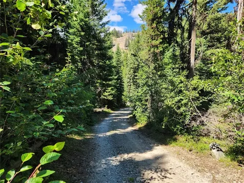 0 East Fork Cougar Creek Road Wauconda WA 98859