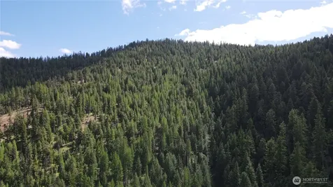 0 East Fork Cougar Creek Road Wauconda WA 98859