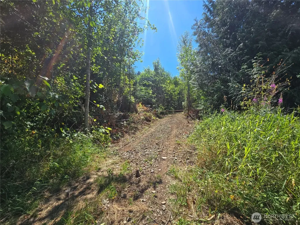 0 Highland Valley Road Morton WA 98356