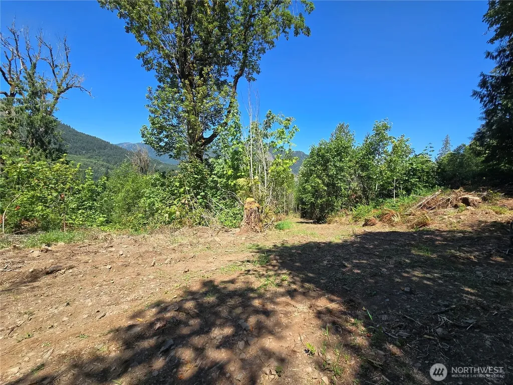 0 Highland Valley Road Morton WA 98356