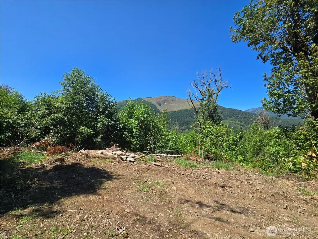 0 Highland Valley Road Morton WA 98356