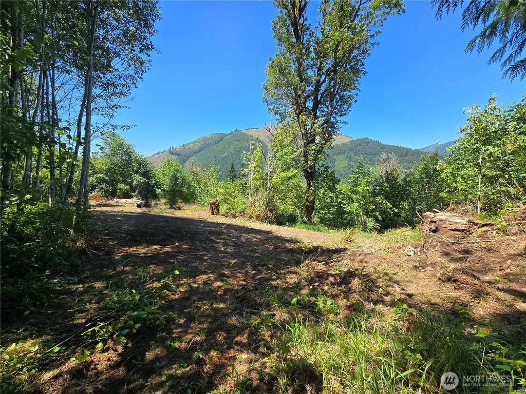 0 Highland Valley Road Morton WA 98356