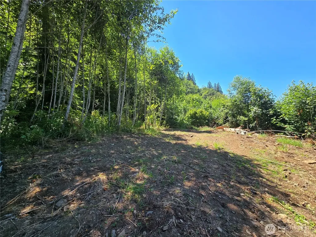 0 Highland Valley Road Morton WA 98356