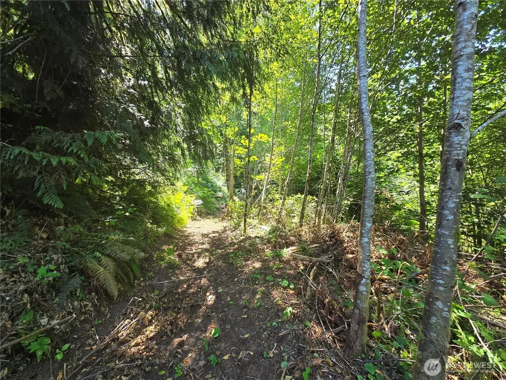 0 Highland Valley Road Morton WA 98356