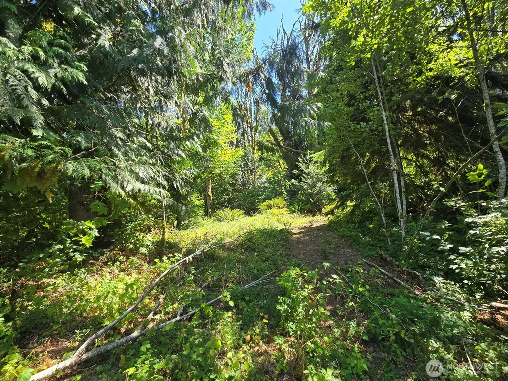 0 Highland Valley Road Morton WA 98356