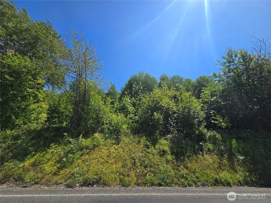0 Highland Valley Road Morton WA 98356