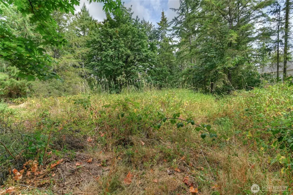 2411 Sleater Kinney Road NE Olympia WA 98506