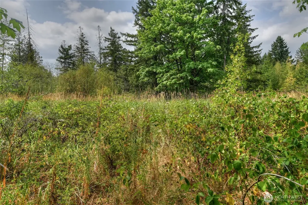 2411 Sleater Kinney Road NE Olympia WA 98506