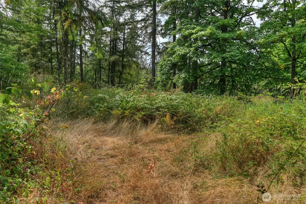 2411 Sleater Kinney Road NE Olympia WA 98506