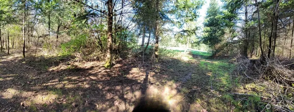 1003 Old Highway Chehalis WA 98532