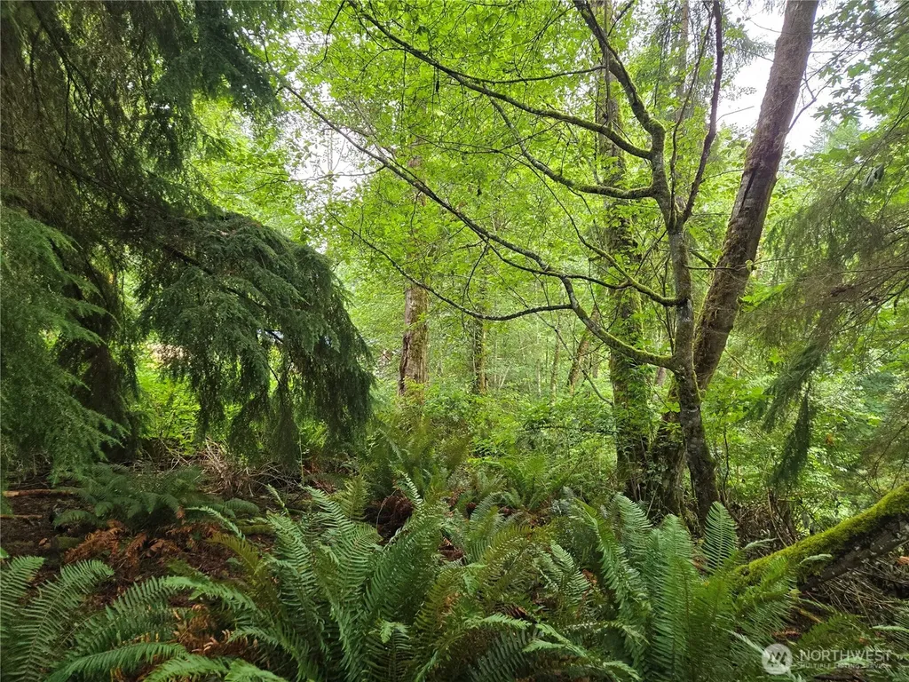 32609 NE 195th Street Duvall WA 98019