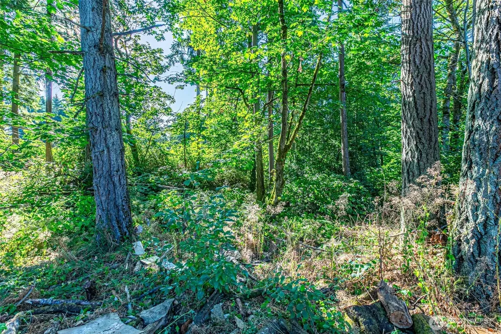 36922 6th Avenue SW Federal Way WA 98023