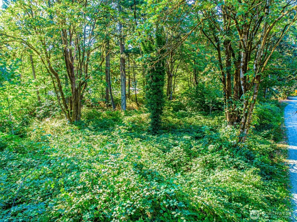 36922 6th Avenue SW Federal Way WA 98023