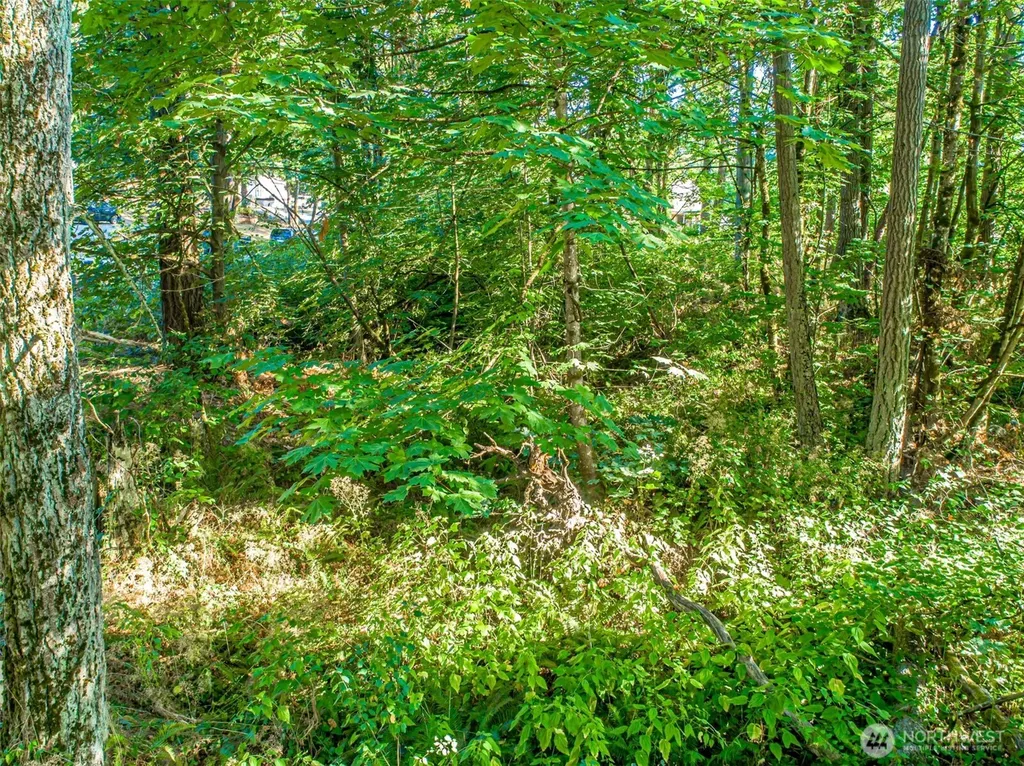 36922 6th Avenue SW Federal Way WA 98023