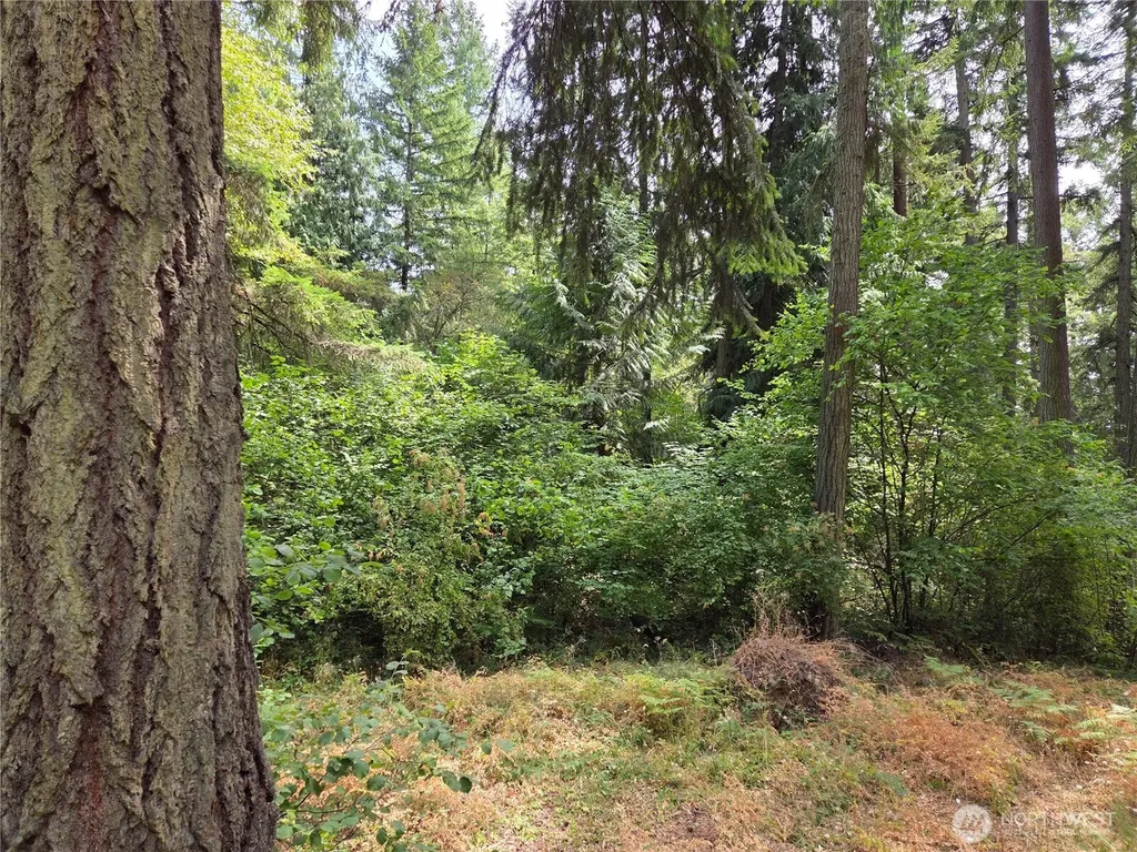 22041 Clear Lake Boulevard SE Yelm WA 98597