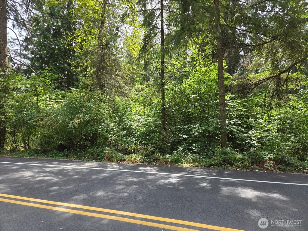 22041 Clear Lake Boulevard SE Yelm WA 98597