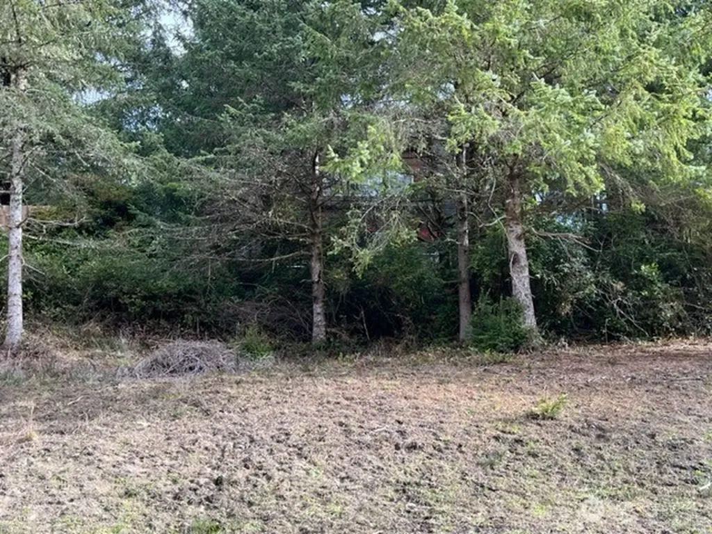 950 Discovery Avenue SE Ocean Shores WA 98569