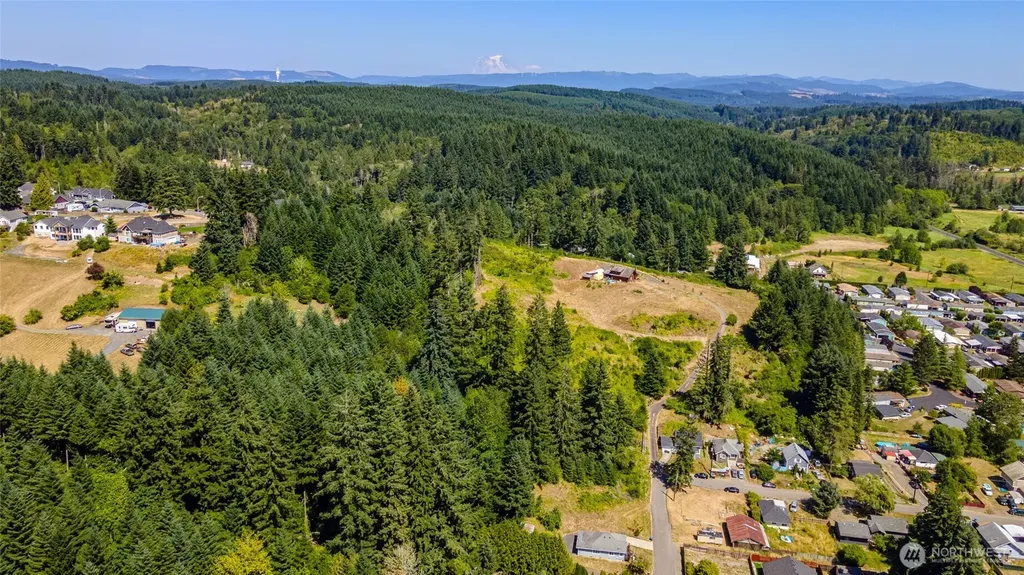 1301 Bayne Street Centralia WA 98531