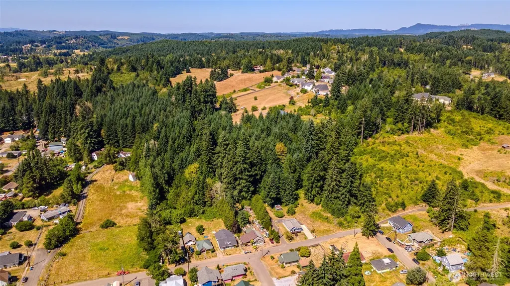 0 Rhobina Street Centralia WA 98531