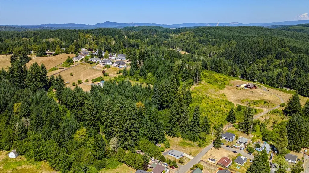 0 Rhobina Street Centralia WA 98531