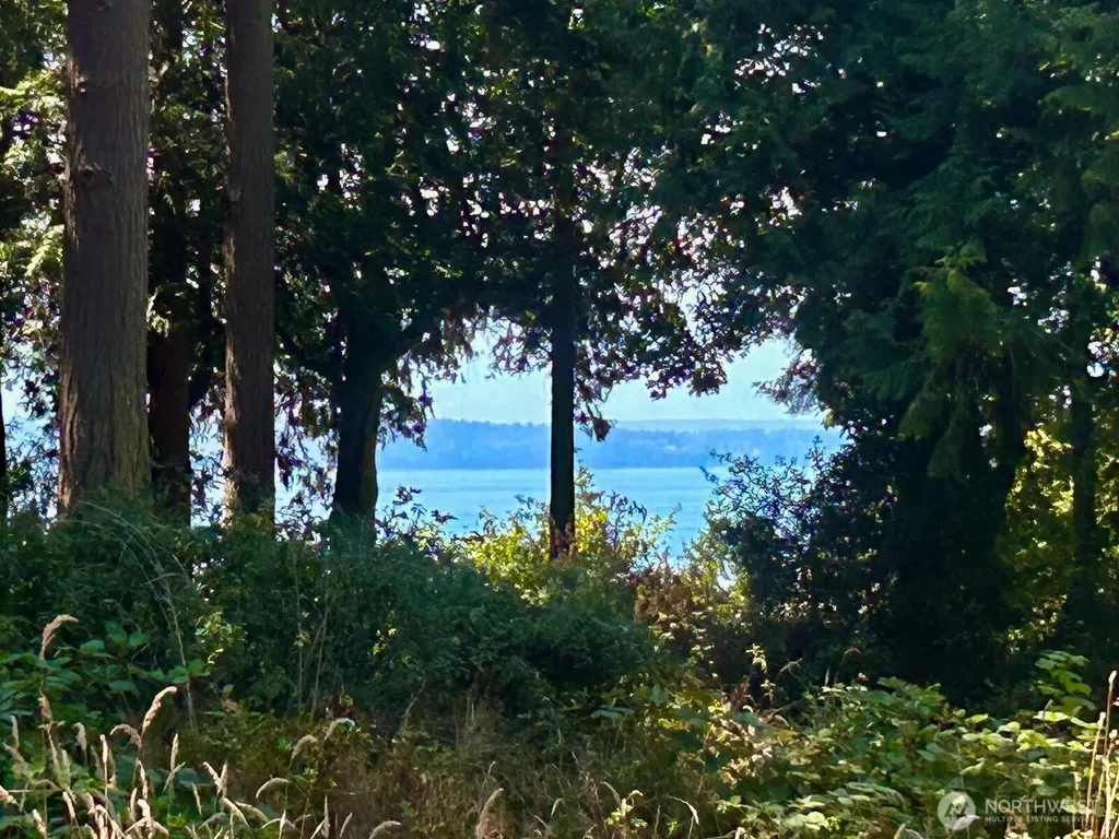 8175 Mossy Rock Road Clinton WA 98236