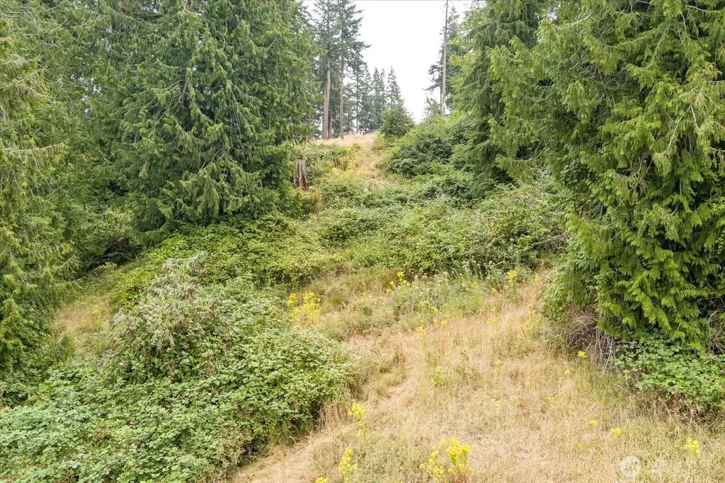8175 Mossy Rock Road Clinton WA 98236