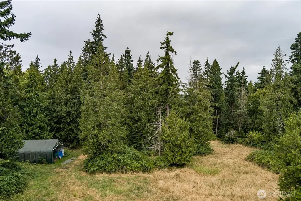 8175 Mossy Rock Road Clinton WA 98236